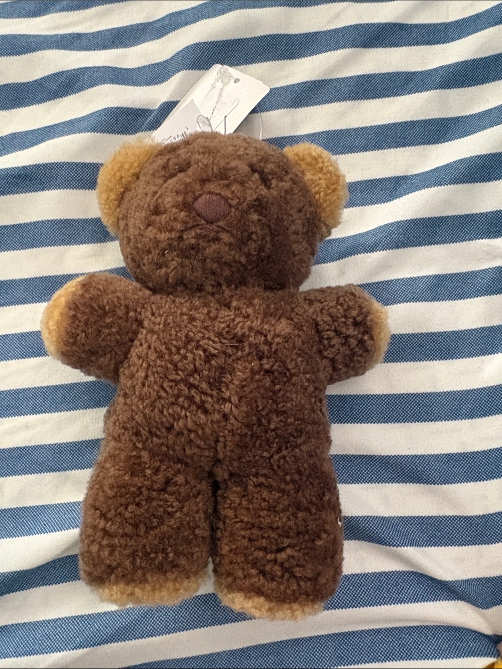 Coach Teddy Charm